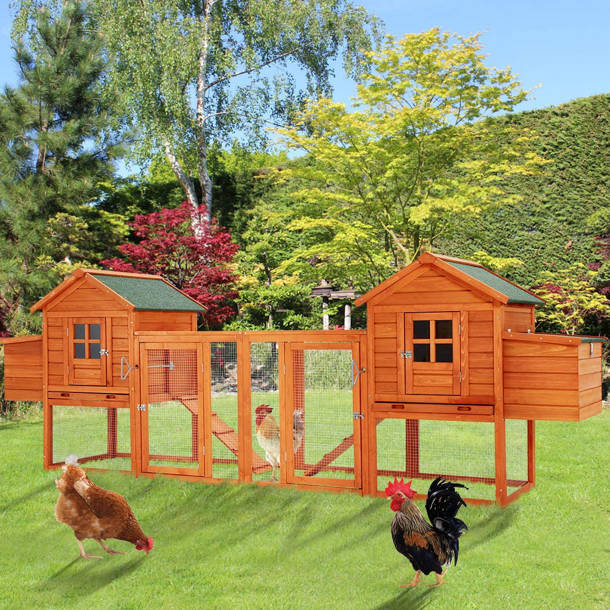 Lark Manor Pavlof Chicken Coop with Chicken Run for up to 5 Chickens
